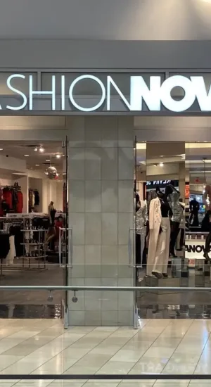 Best Fashion Nova Dresses for Every Occasion