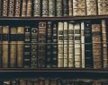 Books, library, reading — Gap Year Programs Offering Transformational Journeys