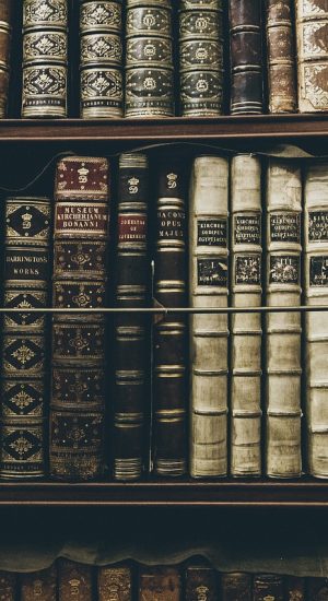 Books, library, reading — Gap Year Programs Offering Transformational Journeys