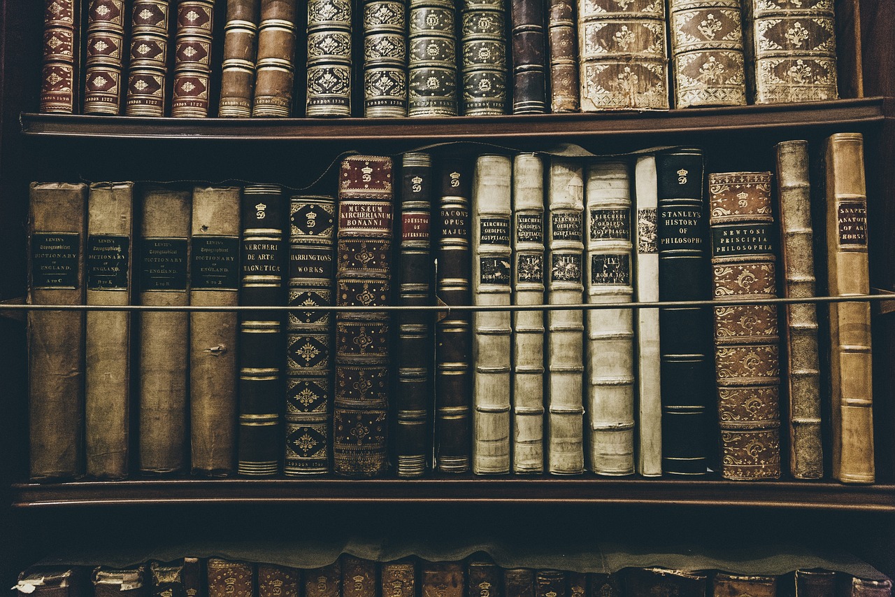 Books, library, reading — Gap Year Programs Offering Transformational Journeys