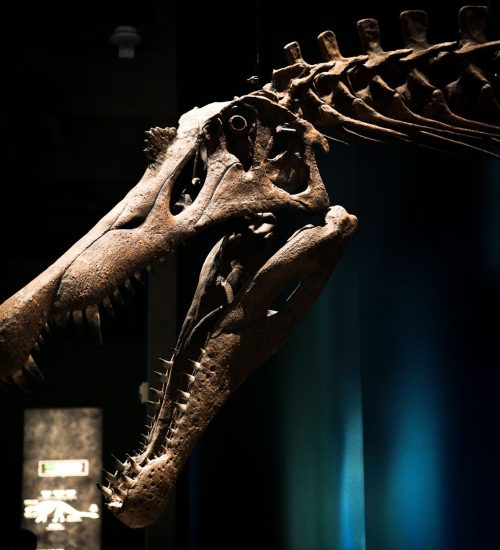 prehistoric species discovery