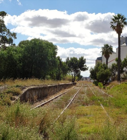 dairy college land