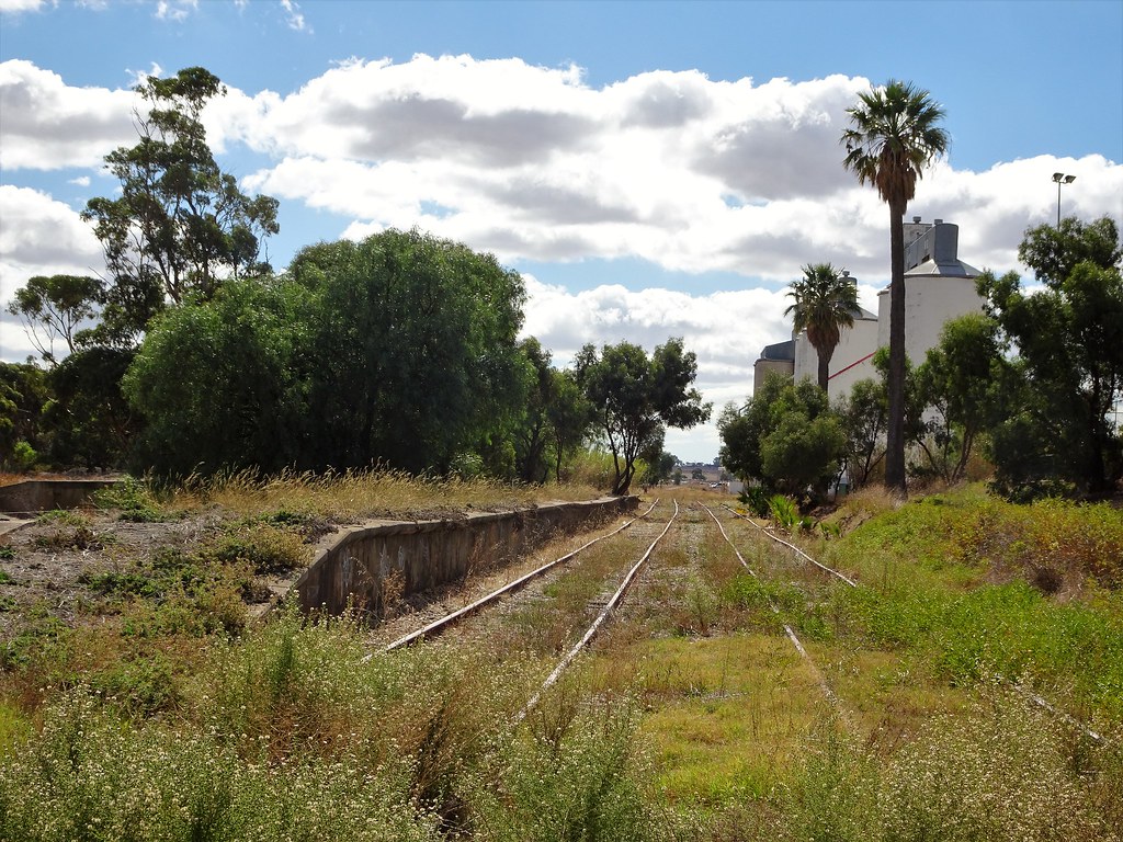 dairy college land