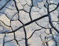 Maharashtra drought relief
