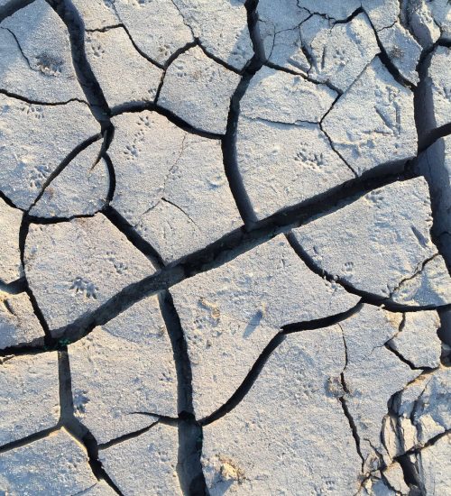 Maharashtra drought relief