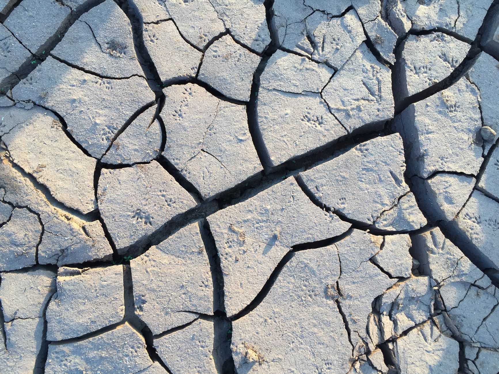 Maharashtra drought relief