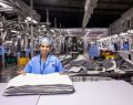 midterm backlash factory workers
