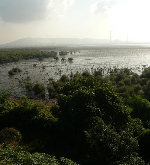 Mumbai air pollution plan