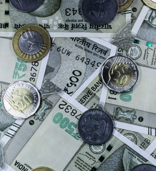private investment in India