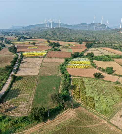 US-India energy cooperation