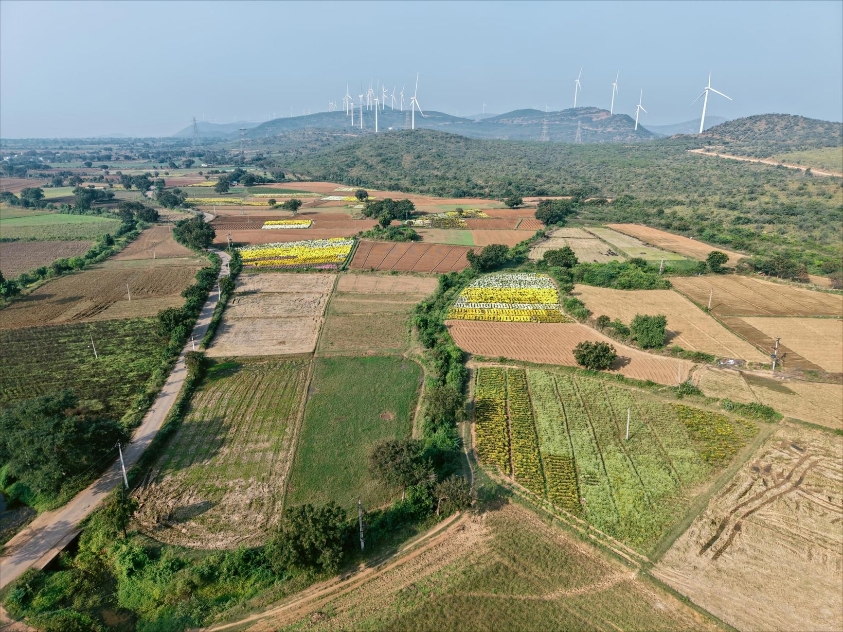 US-India energy cooperation